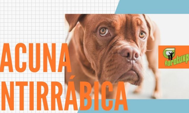 CAMPAÑA DE VACUNACIÓN ANTIRRÁBICA