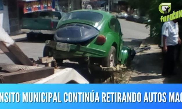 TRANSITO MUNICIPAL CONTINÚA RETIRANDO AUTOS MACETA