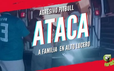 AGRESIVO PITBULL ATACA A FAMILIA ALTO LUCERO