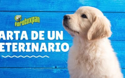 Carta de un Veterinario