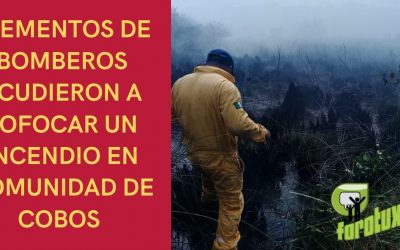 ELEMENTOS DE BOMBEROS ACUDIERON A SOFOCAR UN INCENDIO EN COMUNIDAD DE COBOS