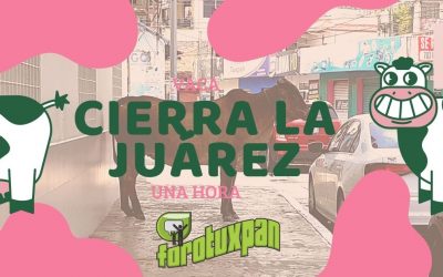 VACA CIERRA LA JUÁREZ UNA HORA