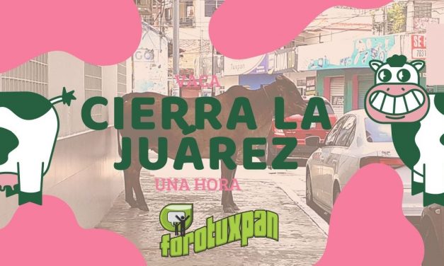 VACA CIERRA LA JUÁREZ UNA HORA