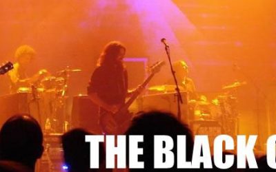 RockStock: ¿Cómo entrarle a THE BLACK CROWES?