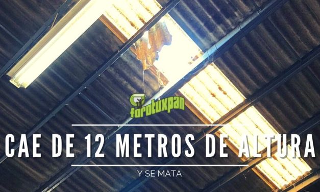 Cae de 12 metros de altura y se mata