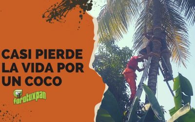 Cási pierde la vida por un COCO