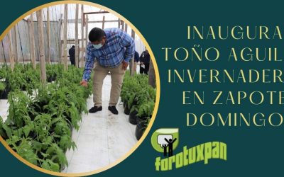 INAUGURA TOÑO AGUILAR INVERNADERO EN ZAPOTE DOMINGO