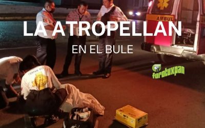 La atropellan en el BULE