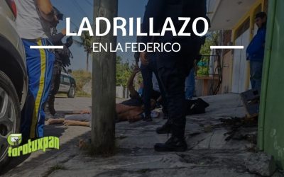 Ladrillazo en la Federico