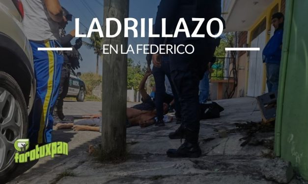 Ladrillazo en la Federico