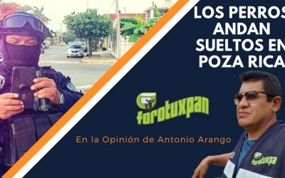 LOS PERROS ANDAN SUELTOS EN POZA RICA