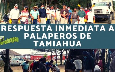 RESPUESTA INMEDIATA A PALAPEROS DE TAMIAHUA