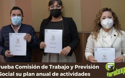 Aprueba Comisión de Trabajo y Previsión Social su plan anual de actividades