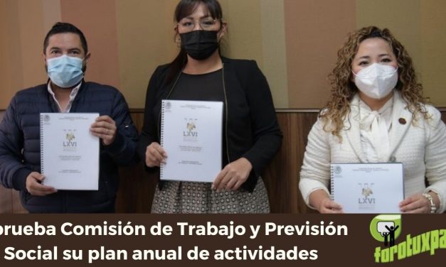 Aprueba Comisión de Trabajo y Previsión Social su plan anual de actividades