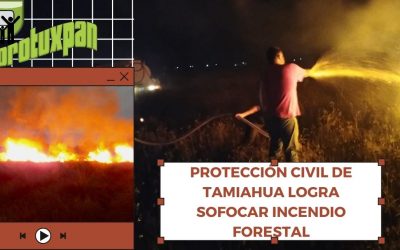 PROTECCIÓN CIVIL DE TAMIAHUA LOGRA SOFOCAR INCENDIO FORESTAL