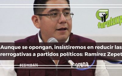 Aunque se opongan, insistiremos en reducir las prerrogativas a partidos políticos: Ramírez Zepeta