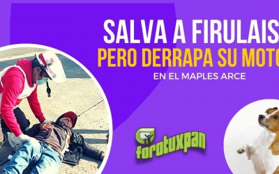 Salva a FIRULAIS pero derrapa su MOTO