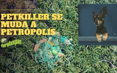 PetKiller se muda a Petrópolis