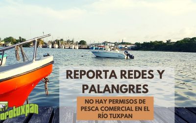 ¡CIUDADANO! Reporta redes y palangres