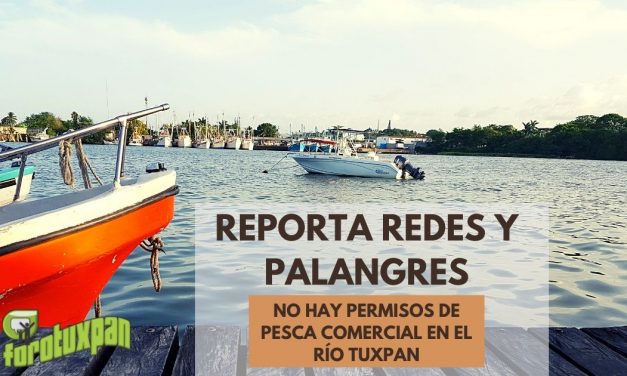 ¡CIUDADANO! Reporta redes y palangres