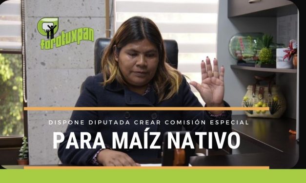 Propone Diputada Crear Comisión Especial para el Maíz Nativo