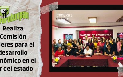 Realiza Comisión talleres para el desarrollo económico en el sur del estado