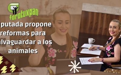 Diputada propone reformas para salvaguardar a los animales