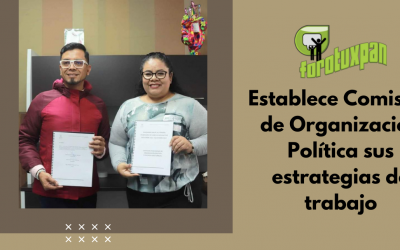 Establece Comisión de Organización Política sus estrategias de trabajo