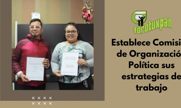 Establece Comisión de Organización Política sus estrategias de trabajo