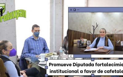 Promueve Diputada fortalecimiento institucional a favor de cafetaleros