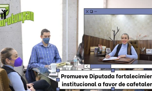 Promueve Diputada fortalecimiento institucional a favor de cafetaleros