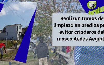 Realizan tareas de limpieza en predios para evitar criaderos del mosco Aedes Aegipty