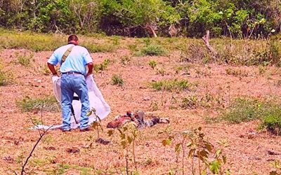 LO ENCUENTRAN MUERTO EN VILLLAMAR