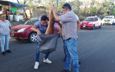 Derrapa su moto por vagancia animal