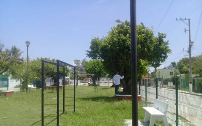 Tamiahua: Mantenimiento a la infraestructura del parque «Mundo del Delfín»