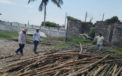 Tamiahua: Empiezan los preparativos para la Expo Feria del Ostión 2022