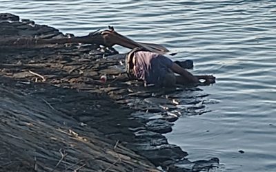 Se ahoga en el Río
