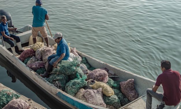 Tamiahua: Carga de cerca de 600 arpillas de concha de Ostión