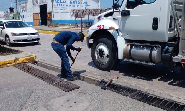 Tamiahua: Poda de árboles, limpieza de alcantarillado, bacheo y limpieza de maleza en banquetas