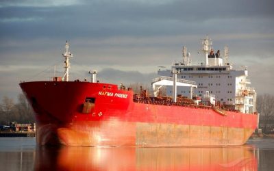 Tuxpan en peligro por Viruela del Mono
