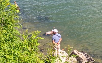 Aparece un ahogado en el Río Tuxpan