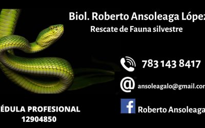 Roberto Ansoleaga
