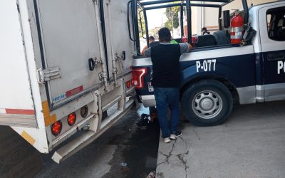 Polimarinos se bajan por los chescos