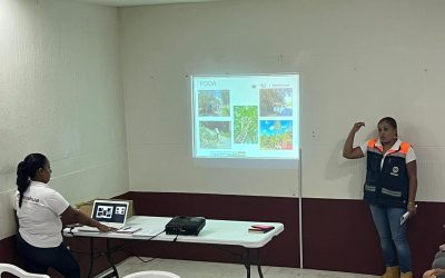 Tamiahua: Sesión Extraordinaria del Consejo Municipal de Protección Civil