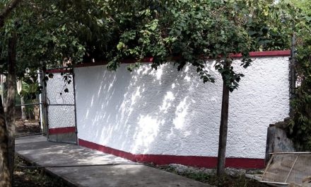 Tamiahua: Rehabilitación en aulas y muros para recintos educativos