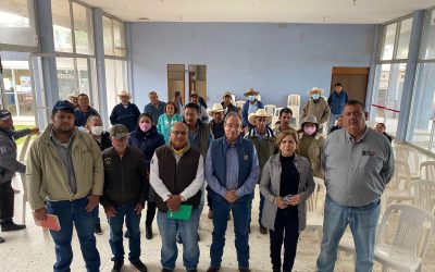 Tamiahua: Acuerdo para realizar barrido zoosanitario