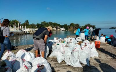 Se realizó limpieza de manglares en Tuxpan para proteger la biodiversidad