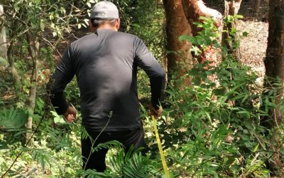 Tamiahua: Trabajos de apeo y deslindes en Papatlar