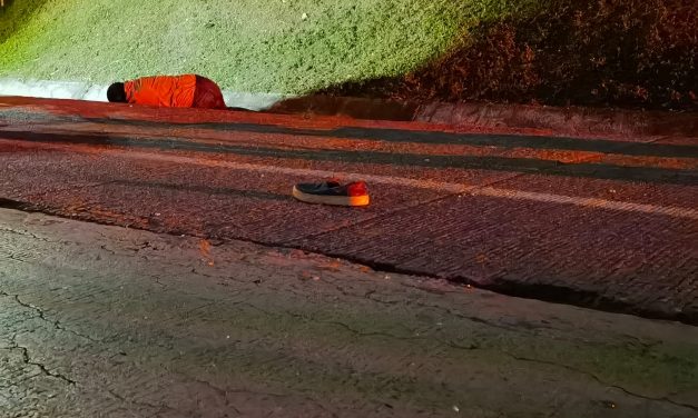 Muere Atropellado en la México-Tuxpan