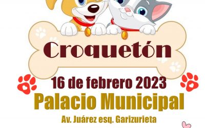 Participa en el “CROQUETÓN” y apoya a los animalitos en situación de calle